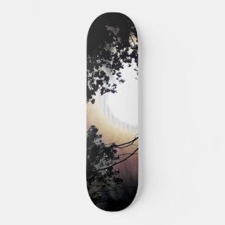 Sun And Pin Oaks Skateboard