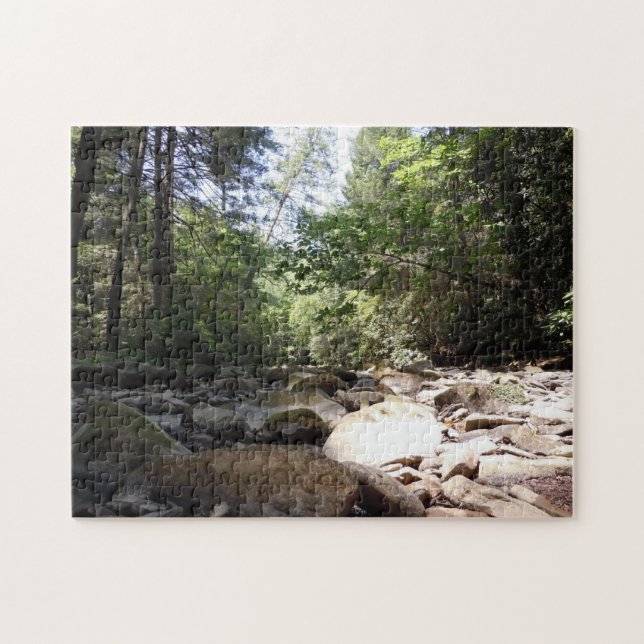 Sun and Shadow in a Creek Bed Jigsaw Puzzle (Horizontal)