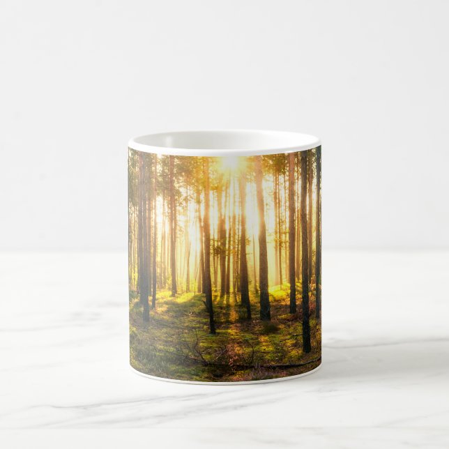 Sun beams shines in pine forest coffee mug (Center)