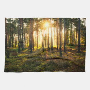 Sun beams shines in pine forest kitchen towel