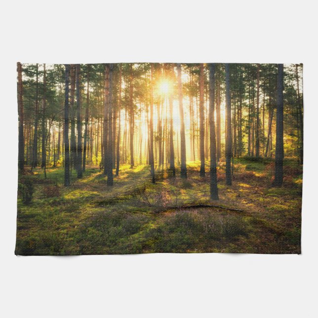 Sun beams shines in pine forest kitchen towel (Horizontal)