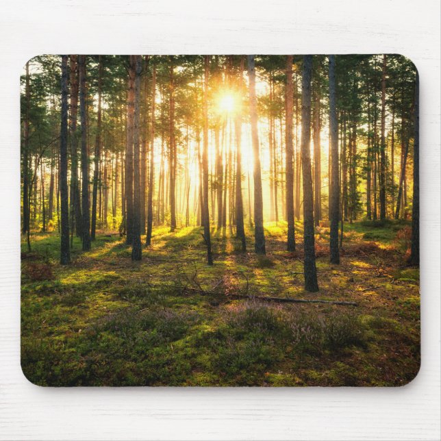 Sun beams shines in pine forest mouse pad (Front)