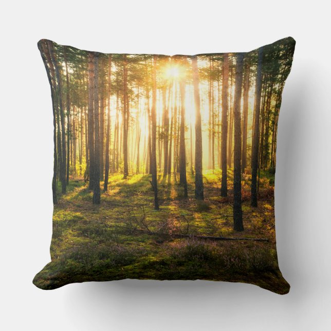 Sun beams shines in pine forest throw pillow (Front)
