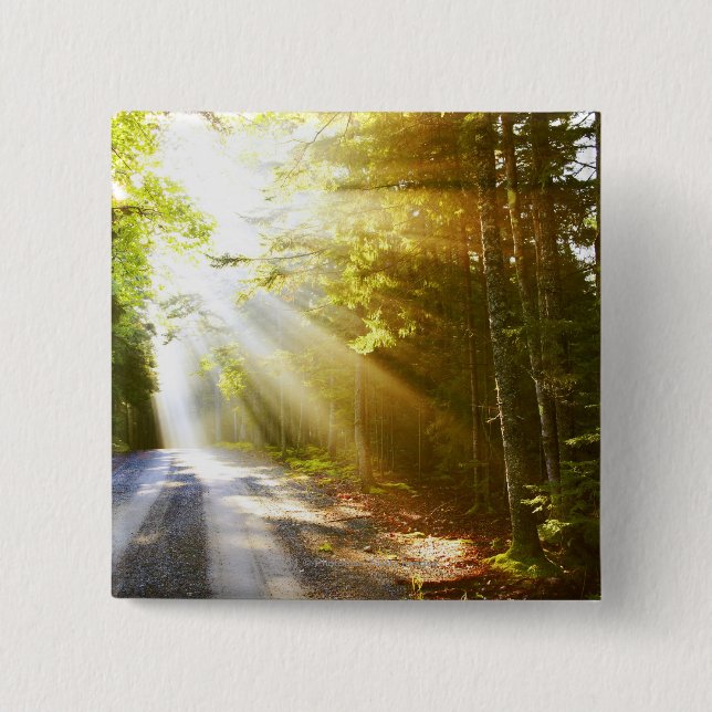 Sun Beams Through Forest in Acadia National Park 2 Inch Square Button (Front)