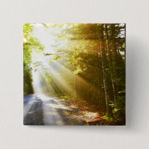 Sun Beams Through Forest in Acadia National Park 2 Inch Square Button