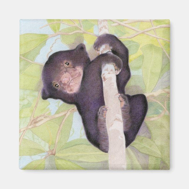 Sun Bear Cub Magnet (Front)