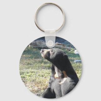 Sun Bear Keychain