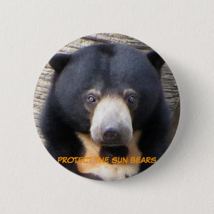 Sun Bear Pagi Button