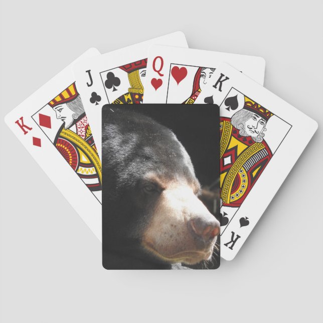 Sun Bear Playing Cards (Back)
