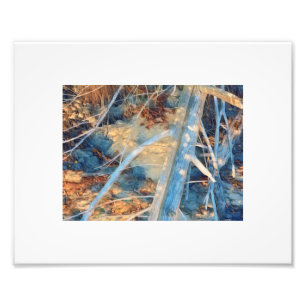 Sun-bleached Rustic Coastline Brush Photo Print