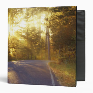 Sun bursts through the forest onto roadway at binder