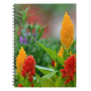Sun Colour Flower Notebook