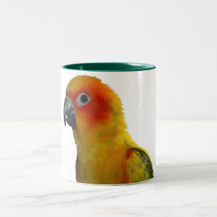 Sun Conure 15 oz mug