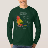 Sun Conure Anatomy Funny Cute Pet Parrot Bird