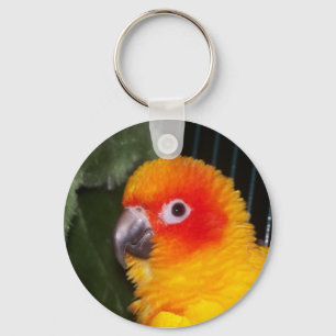 Sun Conure Keychain