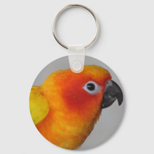 Sun Conure Keychain