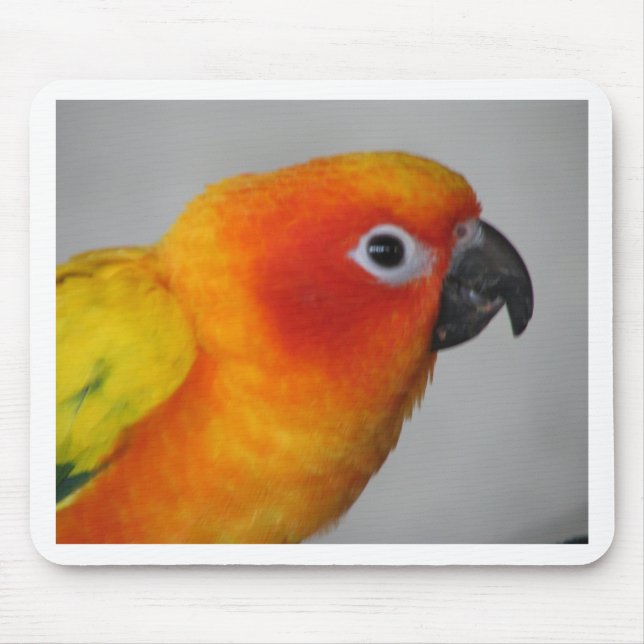 Sun Conure Mouse Pad (Front)