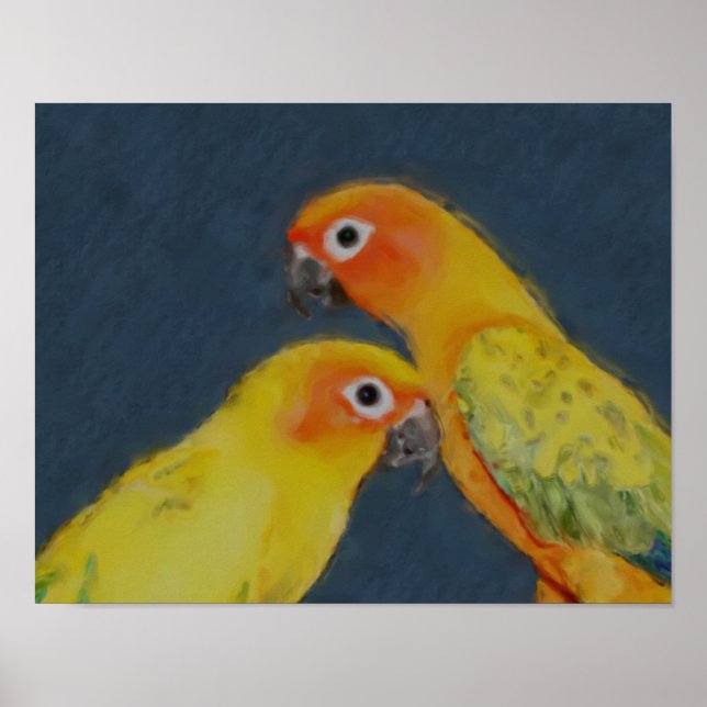 Sun Conure Parrot Pair Bird Art  Poster (Front)