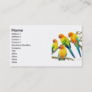 Sun Conure Parrots Business Card
