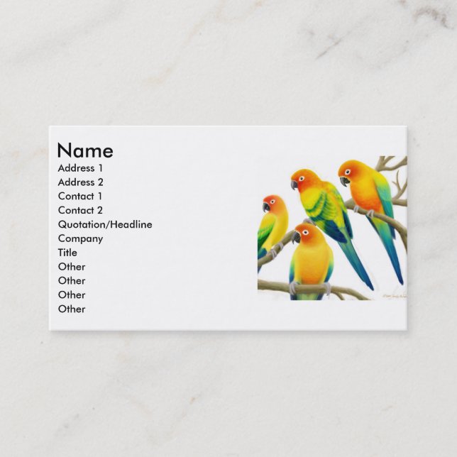 Sun Conure Parrots Business Card (Front)