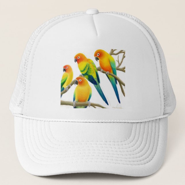 Sun Conure Parrots le casquette (Devant)