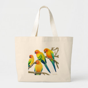 Sun Conure Parrots le sac