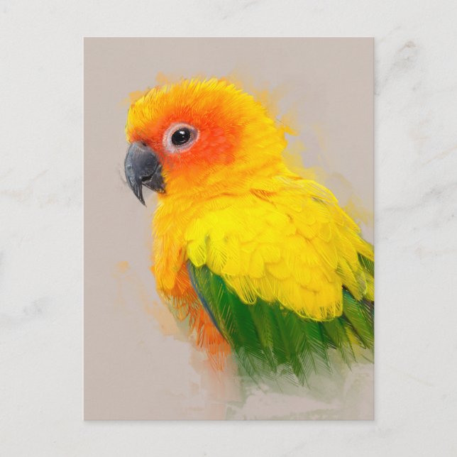 Sun Conure Portrait 001 Postcard (Front)