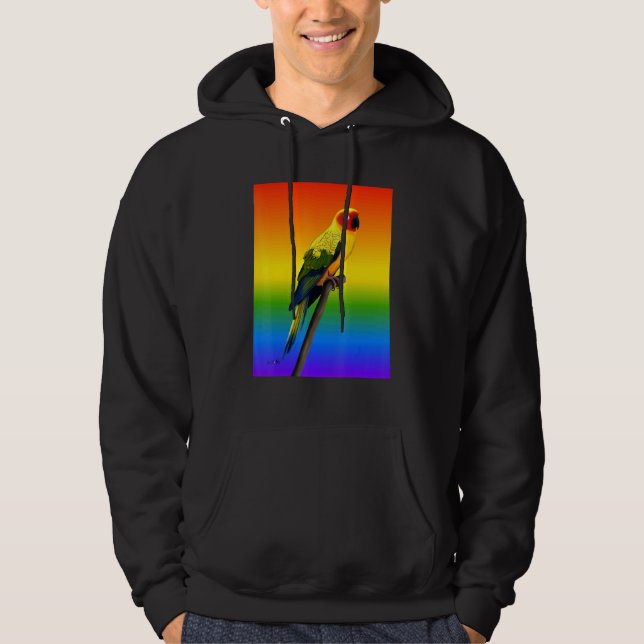 Sun Conure Rainbow Bird Bird Birdwatcher Diversity Hoodie (Front)