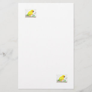 Sun Conure Stationery