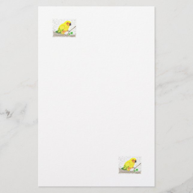 Sun Conure Stationery (Front)