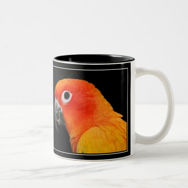 Sun Conure Two-Tone Coffee Mug (Right)