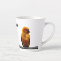 Sun Conure Wildlife Art Personalized Name Animal