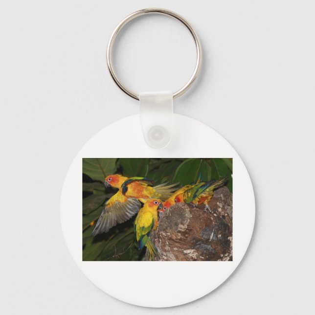 Sun Conures Keychain (Front)