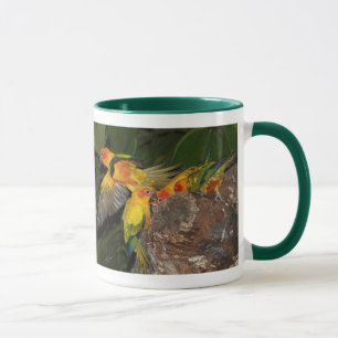 Sun Conures Mug