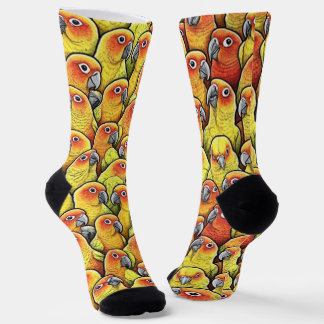 Sun Conures Socks
