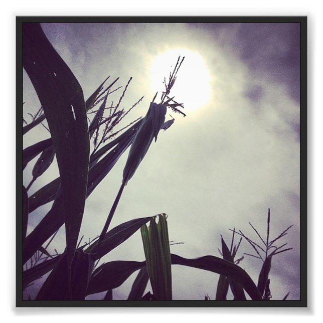 Sun-Corn God Photo Print (Front)