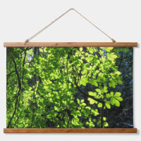 Sun Dappled Horse Chestnut Leaves