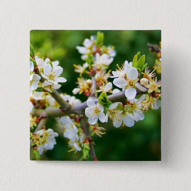 Sun-Dappled Spring Hawthorn 2 Inch Square Button (Front)