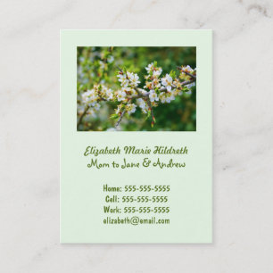 Sun-Dappled Spring Hawthorn Calling Card