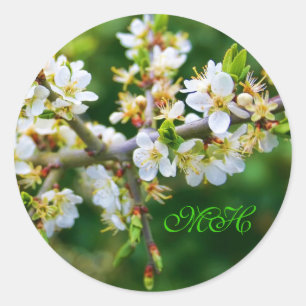 Sun-Dappled Spring Hawthorn Classic Round Sticker