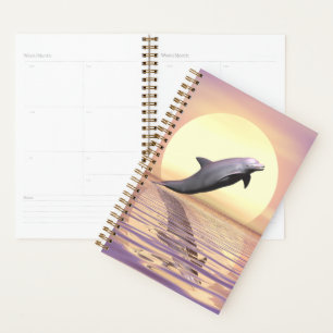 Sun Dolphin