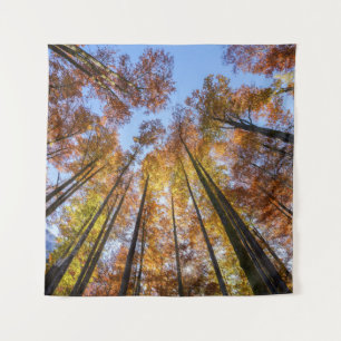 Sun-drenched Autumn Trees Tapestry