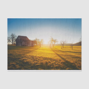 Sun-Drenched Barn and Field Tissue Paper