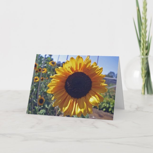 SUN flower Card (Front)