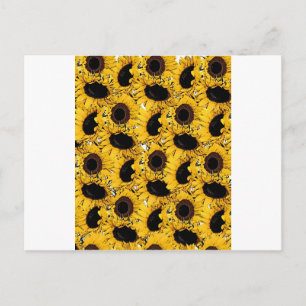 sun flowers petals swim dive marine nature yellow postcard