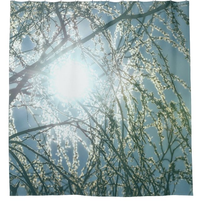 Sun Glow Through Willow Tree Branches Uplifting (Front)