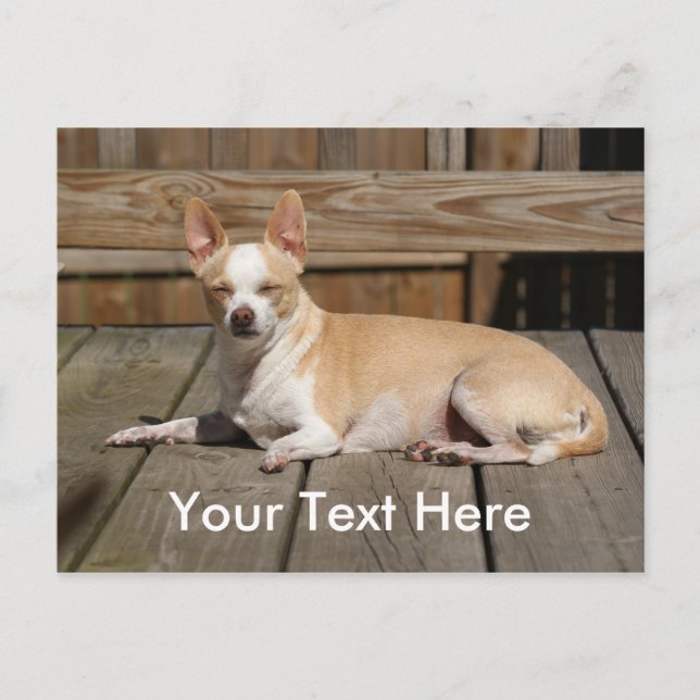 Sun Goddess Postcard (Front)