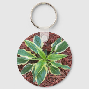 Sun Hosta Keychain