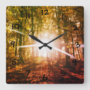 Sun in  the autumn forest square wall clock