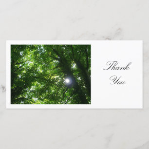 Sun in the Trees - Thank You Card